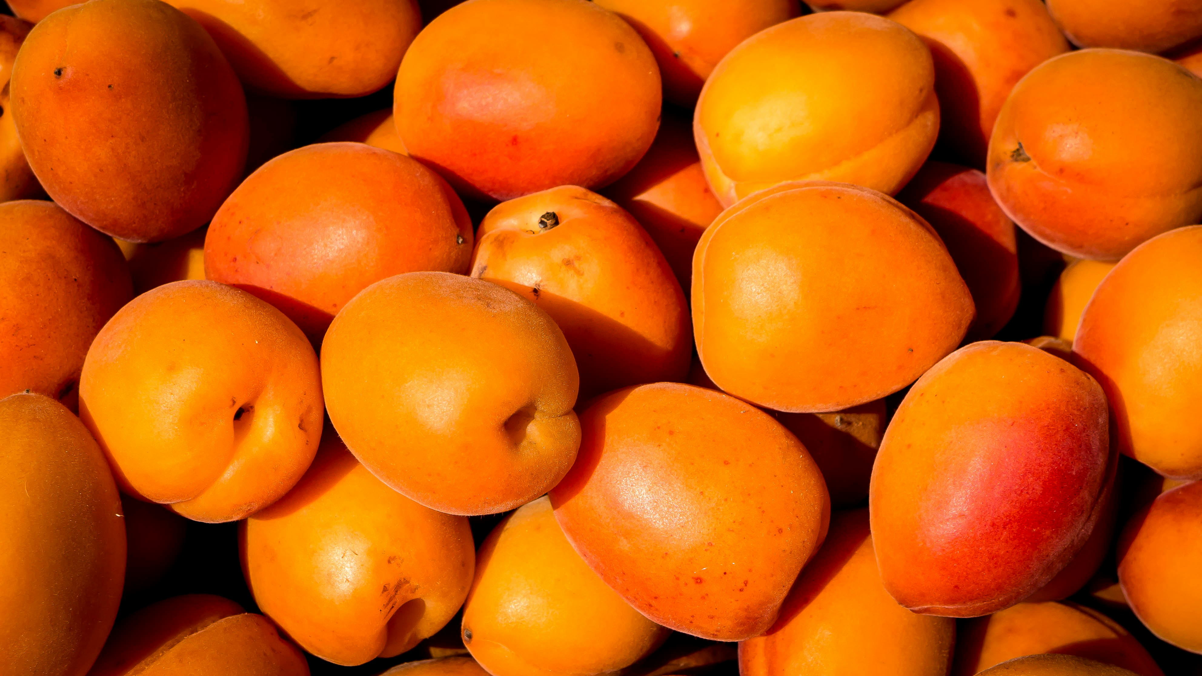 shallow focus photography of orange fruit lot